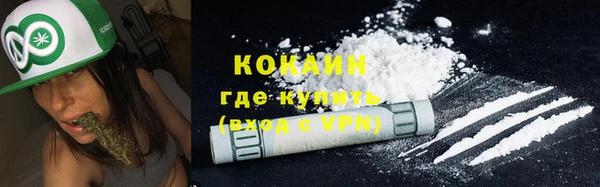 мдпв Осинники