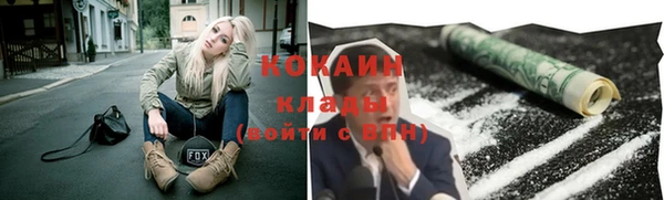 хмурый Устюжна