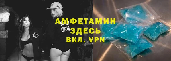 шишки Пересвет