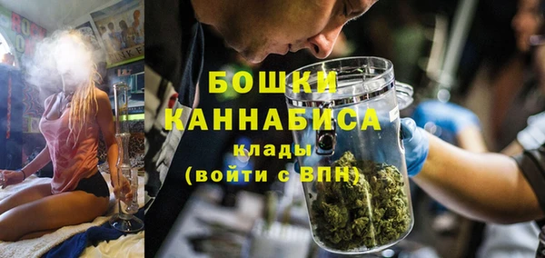 ГАЛЛЮЦИНОГЕННЫЕ ГРИБЫ Видное
