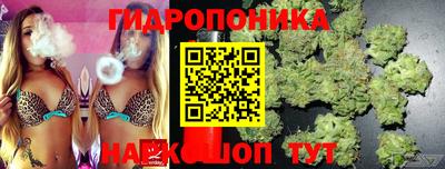 гидропоника Гусь-Хрустальный