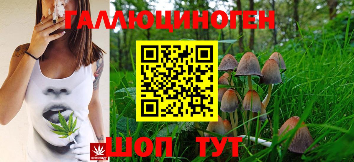 Псилоцибиновые грибы прущие грибы  Галлюциногенные грибы мицелий  даркнет сайт  Вход с VPN  Краснокаменск 