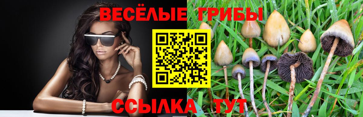 Галлюциногенные грибы мицелий Краснокаменск